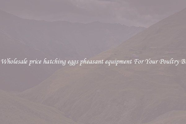 Get A Wholesale price hatching eggs pheasant equipment For Your Poultry Business