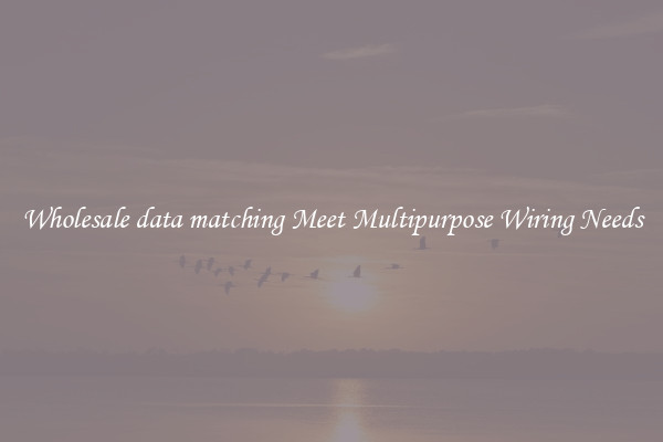 Wholesale data matching Meet Multipurpose Wiring Needs