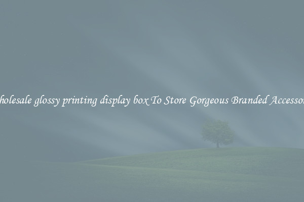 Wholesale glossy printing display box To Store Gorgeous Branded Accessories