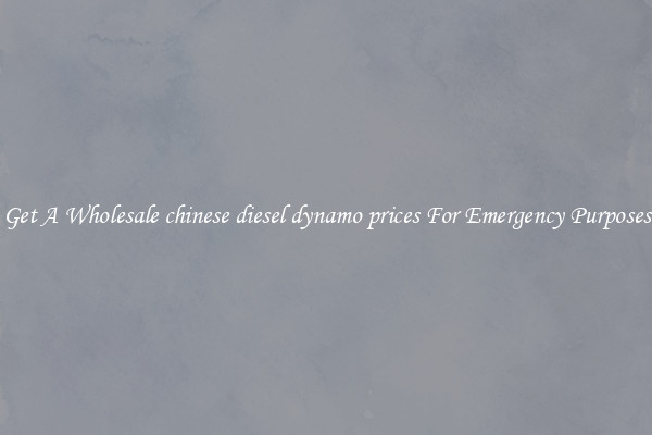 Get A Wholesale chinese diesel dynamo prices For Emergency Purposes