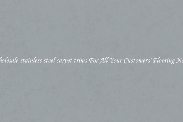 Wholesale stainless steel carpet trims For All Your Customers' Flooring Needs