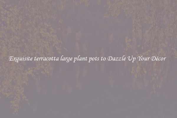 Exquisite terracotta large plant pots to Dazzle Up Your Décor  