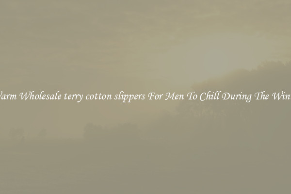Warm Wholesale terry cotton slippers For Men To Chill During The Winter