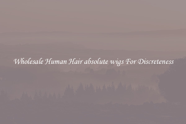 Wholesale Human Hair absolute wigs For Discreteness
