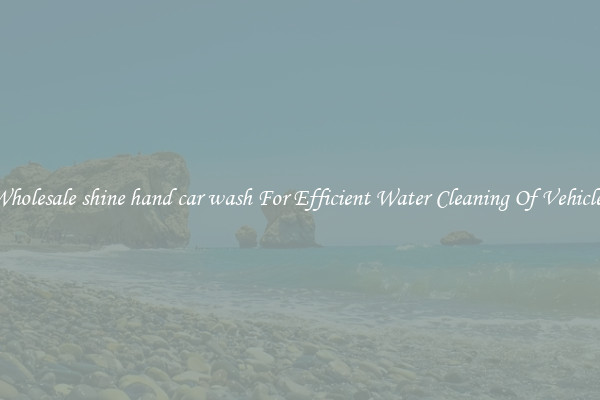 Wholesale shine hand car wash For Efficient Water Cleaning Of Vehicles