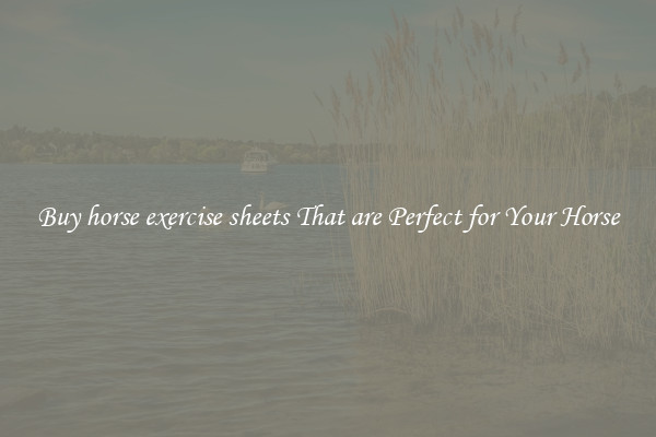 Buy horse exercise sheets That are Perfect for Your Horse