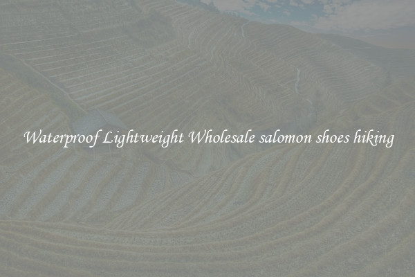 Waterproof Lightweight Wholesale salomon shoes hiking