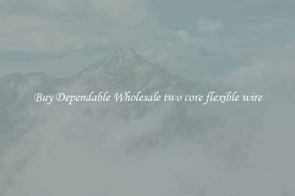 Buy Dependable Wholesale two core flexible wire