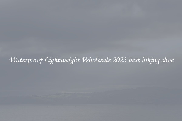 Waterproof Lightweight Wholesale 2023 best hiking shoe