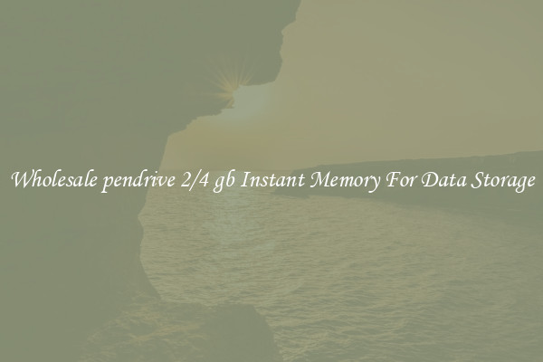 Wholesale pendrive 2/4 gb Instant Memory For Data Storage