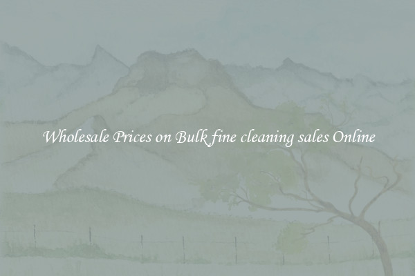 Wholesale Prices on Bulk fine cleaning sales Online
