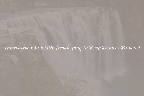 Innovative 63a 62196 female plug to Keep Devices Powered