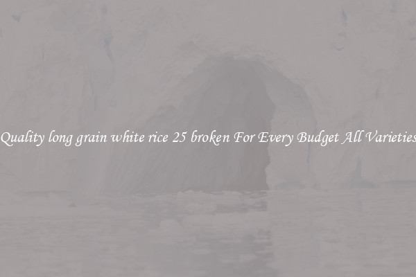 Quality long grain white rice 25 broken For Every Budget All Varieties
