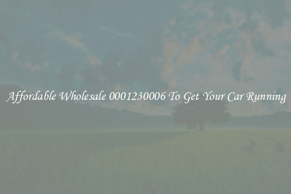 Affordable Wholesale 0001230006 To Get Your Car Running