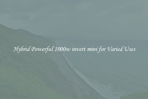 Hybrid Powerful 1000w invert mini for Varied Uses