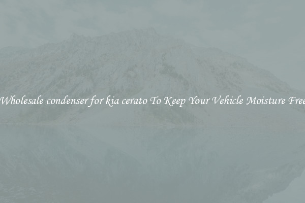 Wholesale condenser for kia cerato To Keep Your Vehicle Moisture Free