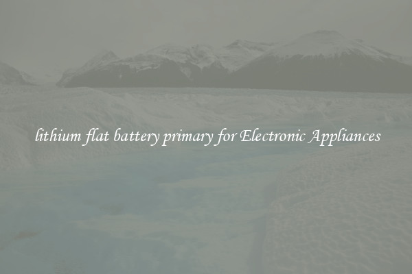 lithium flat battery primary for Electronic Appliances