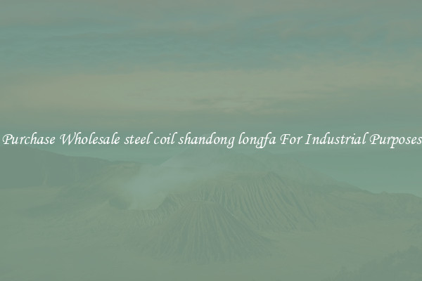Purchase Wholesale steel coil shandong longfa For Industrial Purposes