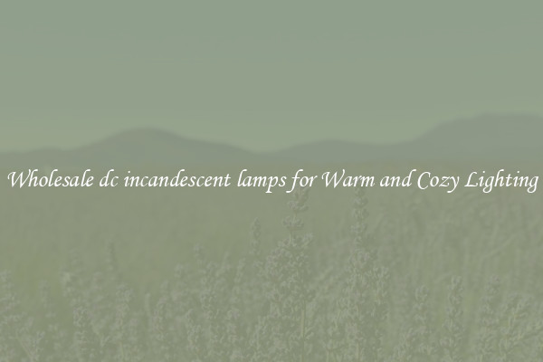 Wholesale dc incandescent lamps for Warm and Cozy Lighting
