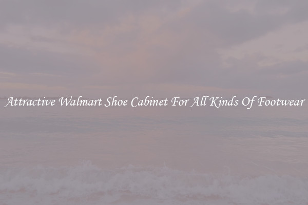 Attractive Walmart Shoe Cabinet For All Kinds Of Footwear