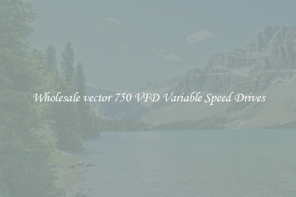 Wholesale vector 750 VFD Variable Speed Drives